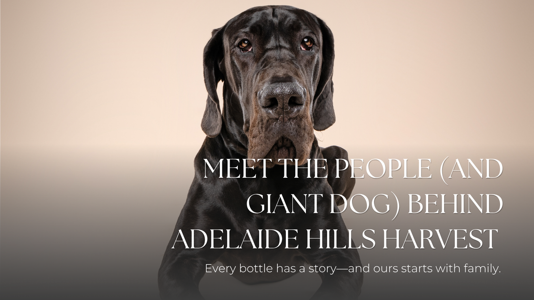 Meet the People (and Giant Dog) Behind Adelaide Hills Harvest