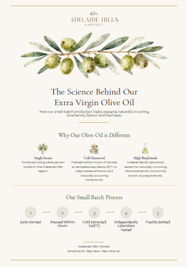 An informational marketing graphic for Adelaide Hills Harvest extra virgin olive oil, featuring a central olive branch illustration, product benefits, and a five-step production process diagram on a cream background.